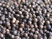 Manufacturers Exporters and Wholesale Suppliers of Black Pepper Seeds Hanumangarh Jn. Rajasthan Black Pepper Seeds
